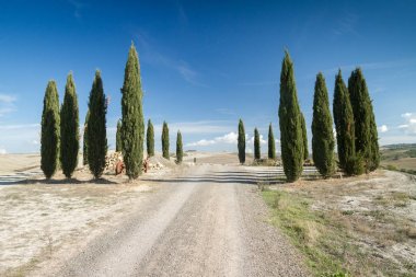 İz, evi ve senese kil, Ital selvi ile Toskana hills