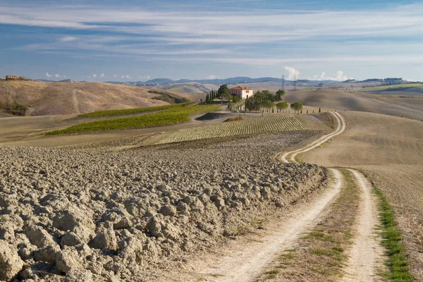 Tuscan hills with trail, house and cypress in senese clays, Ital — Stock Photo, Image