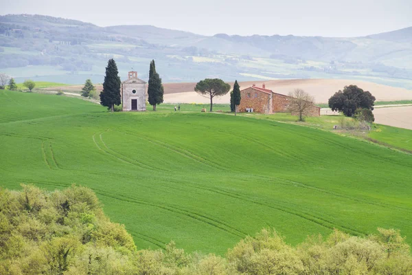 Tuscan τοπίο με εκκλησία Iconic «Vitaleta» σε Senese άργιλοι, — Φωτογραφία Αρχείου