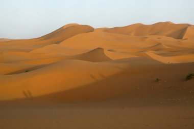 Afrika çöl dune