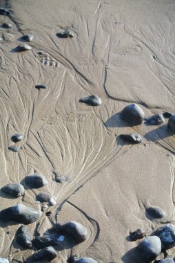 Sahilde deniz ayak izleri.