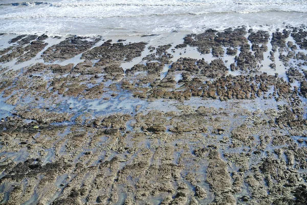 Côte Avec Les Formations Rocheuses — Photo