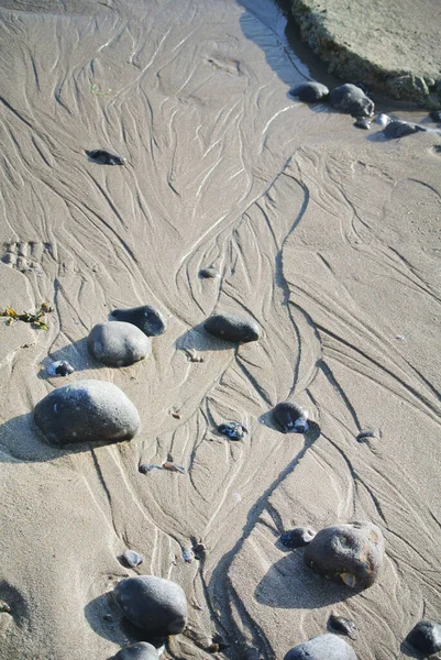 Impronte Marittime Sulla Spiaggia — Foto Stock