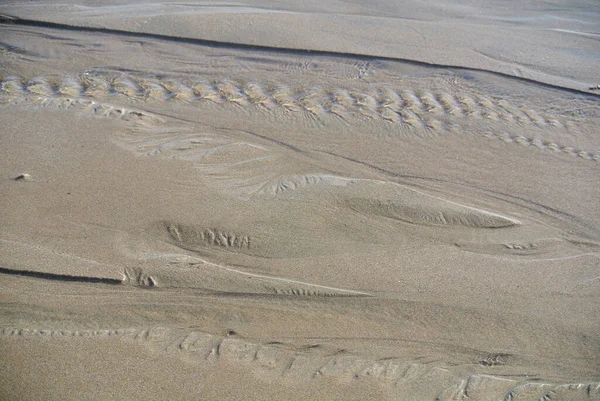 Zee Voetafdrukken Het Strand — Stockfoto