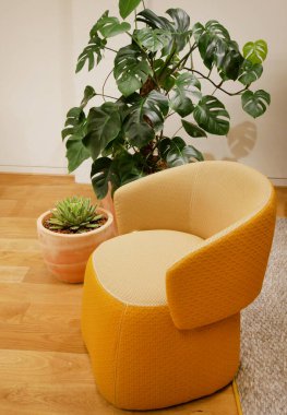 Oturma odasının bitkileri ve sarı koltuğu.