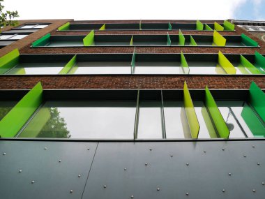 Çağdaş yeşil pleks güneş gölgesi