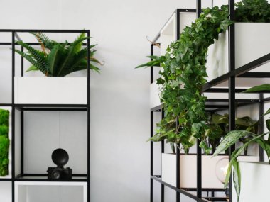 Metal yapıya sahip modern ekolojik raflar