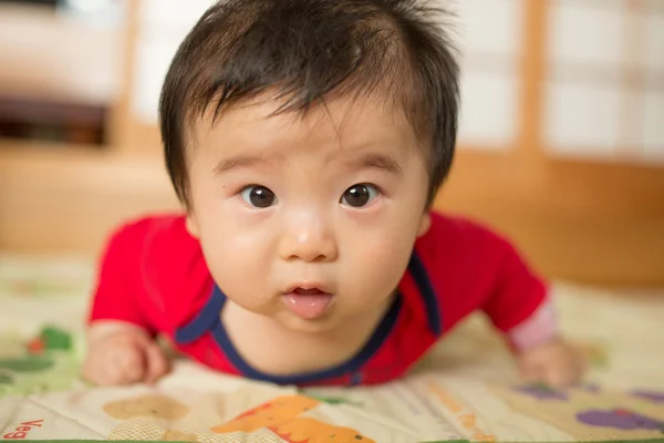 Close up japan baby — Stock Photo, Image