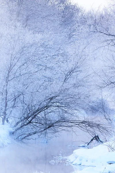 Paesaggio invernale in hokkaido — Foto Stock