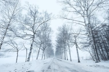 Hokkaido'da kış yol