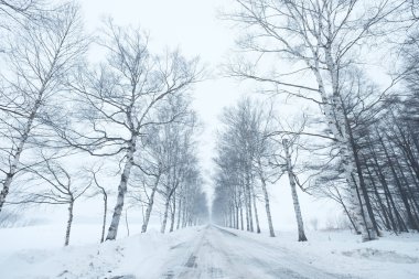 Hokkaido'da kış yol