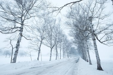 Hokkaido'da kış yol