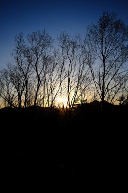 ormandan gelen sabah şafak