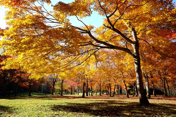 在日本的秋景 — 图库照片