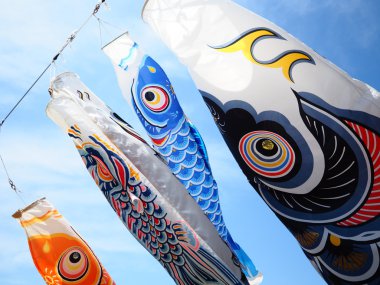 sazan flama Japonya'da