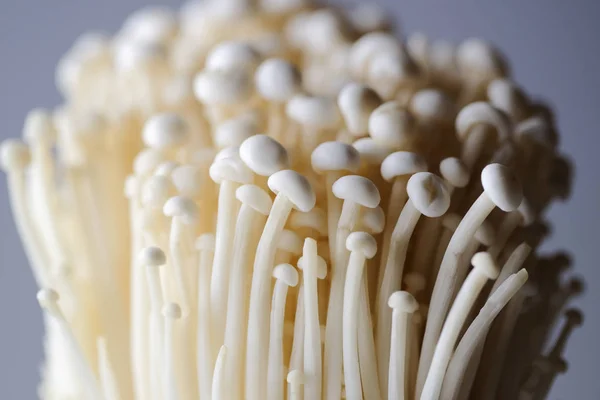 Eetbare paddestoelen in japan — Stockfoto