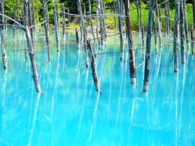 Hokkaido'da mavi su birikintisi