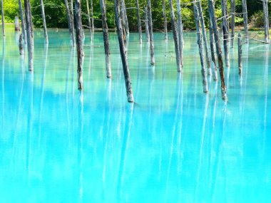 Hokkaido'da mavi su birikintisi