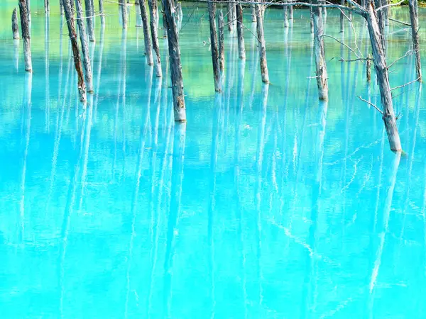 Hokkaido'da mavi su birikintisi