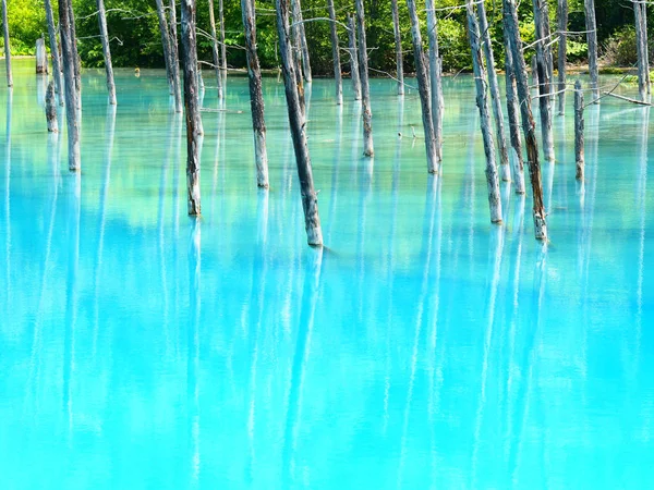 Estanque azul en hokkaido — Foto de Stock