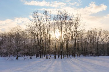 Hokkaido'da kış manzarası