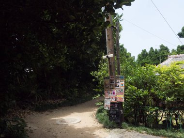 okinawa sokakta ağaç