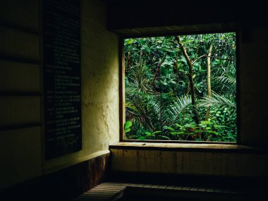 Okinawa penceresinde orman