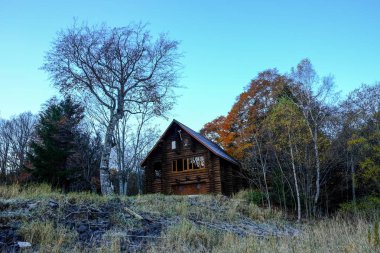Hokkaido'da kış manzarası