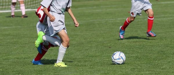 Japonya 'da futbol maçı
