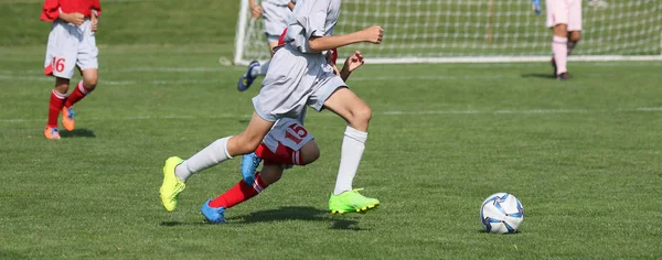 Japonya 'da futbol maçı