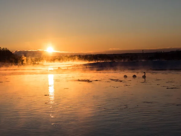 Sonnenaufgang vom Winterfluss — Stockfoto