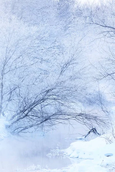 Paysage hivernal à hokkaido — Photo