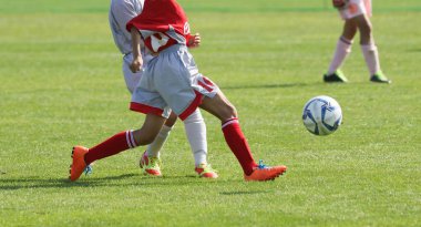 Japonya 'da futbol maçı
