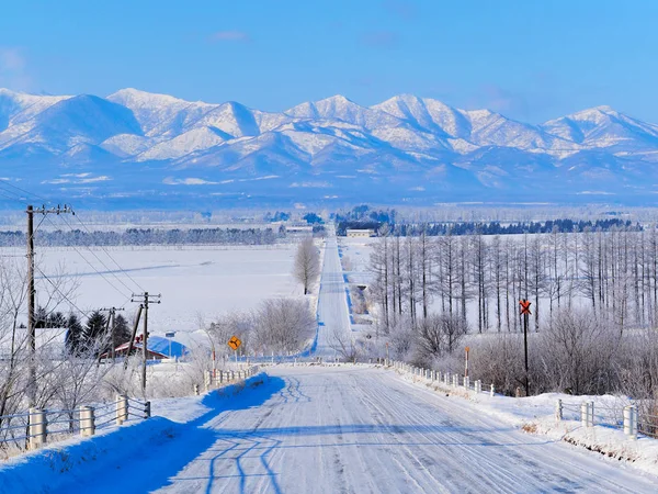 Hokkaido'da kış yol
