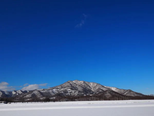 北海道の冬の風景 — ストック写真