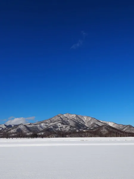 Paisagem de inverno em hokkaido — Fotografia de Stock