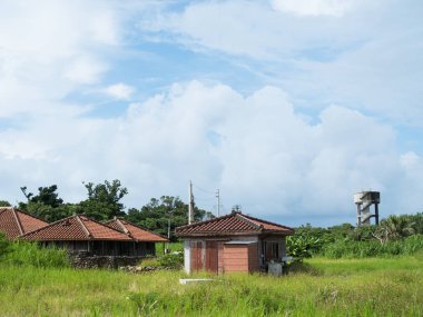 okinawa Japonya Peyzaj