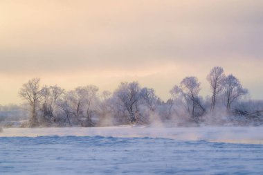kışın kapalı ağacı süsleyin