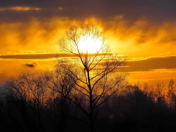 sunrise in winter morning