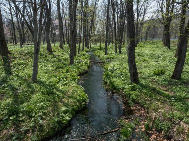 Hokkaido'da bahar manzara