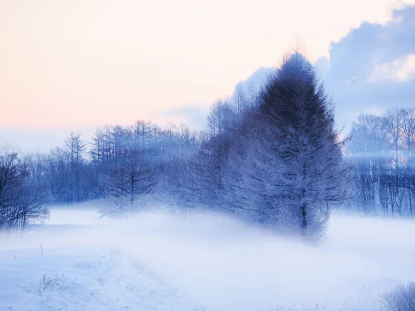 Paisagem de inverno em hokkaido — Fotografia de Stock