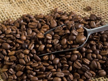 kavrulmuş kahve çekirdekleri Cafe