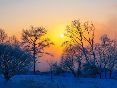 Kış Hokkaido'da gündoğumu