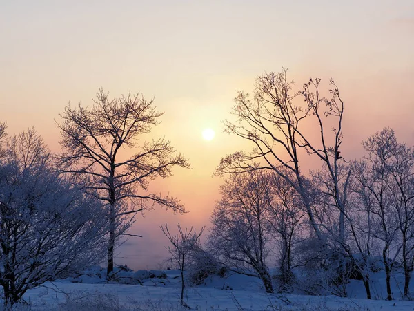 Alba in inverno hokkaido — Foto Stock