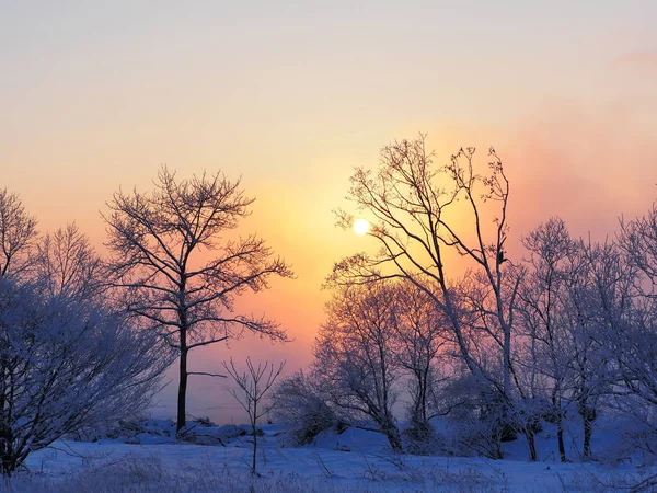 Amanecer en invierno hokkaido —  Fotos de Stock