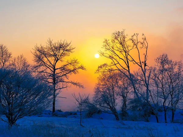 Amanecer en invierno hokkaido —  Fotos de Stock