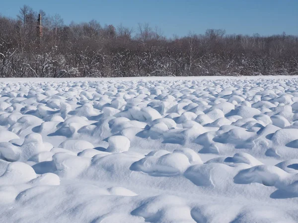 Campo de neve em hokkaido — Fotografia de Stock