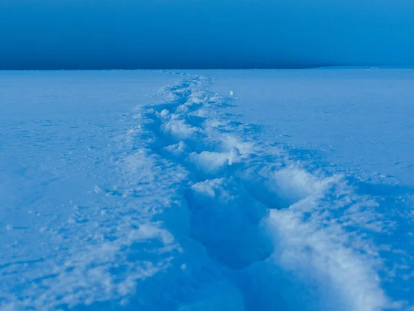 Fußabdrücke auf dem Schneefeld — Stockfoto