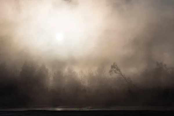 Kış sabahı Sunrise — Stok fotoğraf