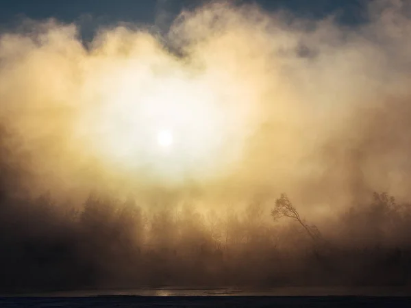 Схід сонця взимку вранці — стокове фото